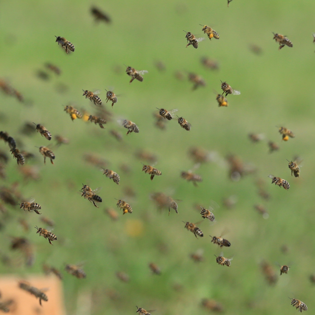 Design uden navn (3)