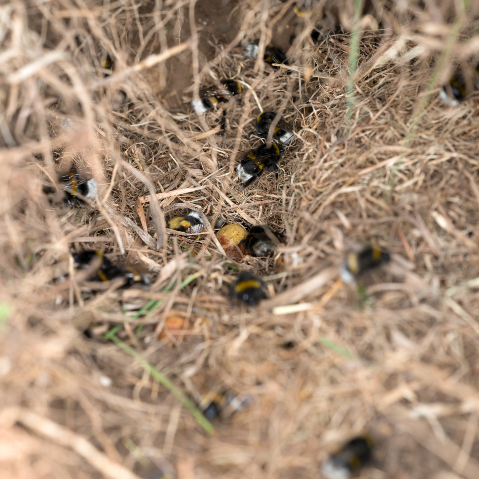 Design uden navn (20)