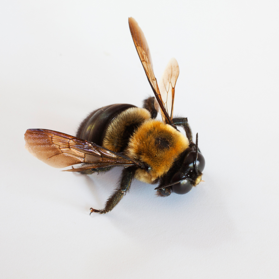 Design uden navn (21)