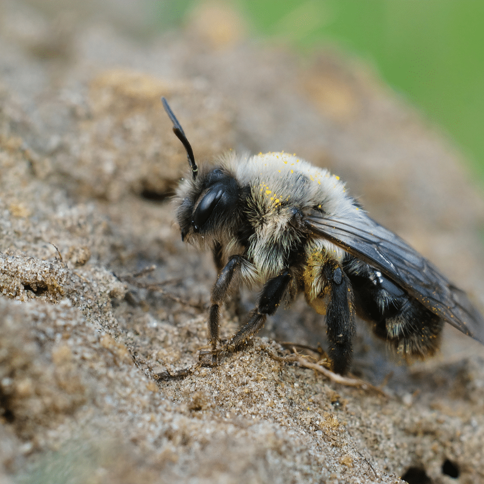 Design uden navn (22)