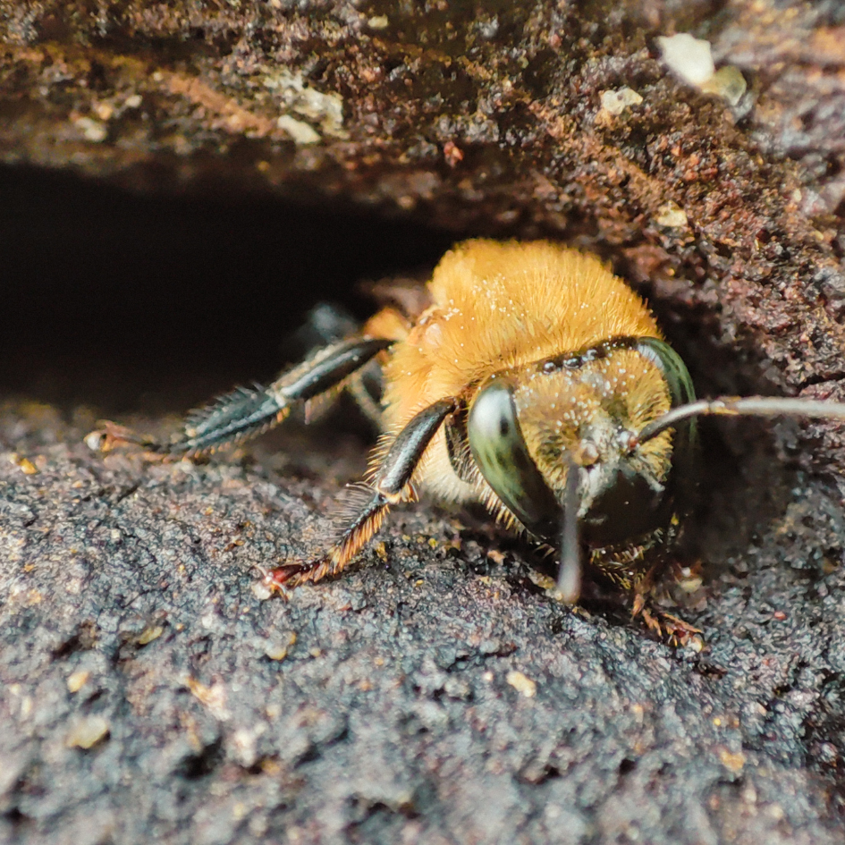 Design uden navn (23)