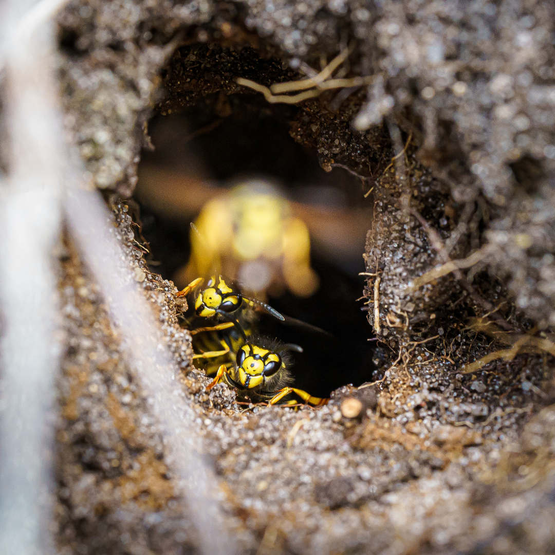 Design uden navn (33)