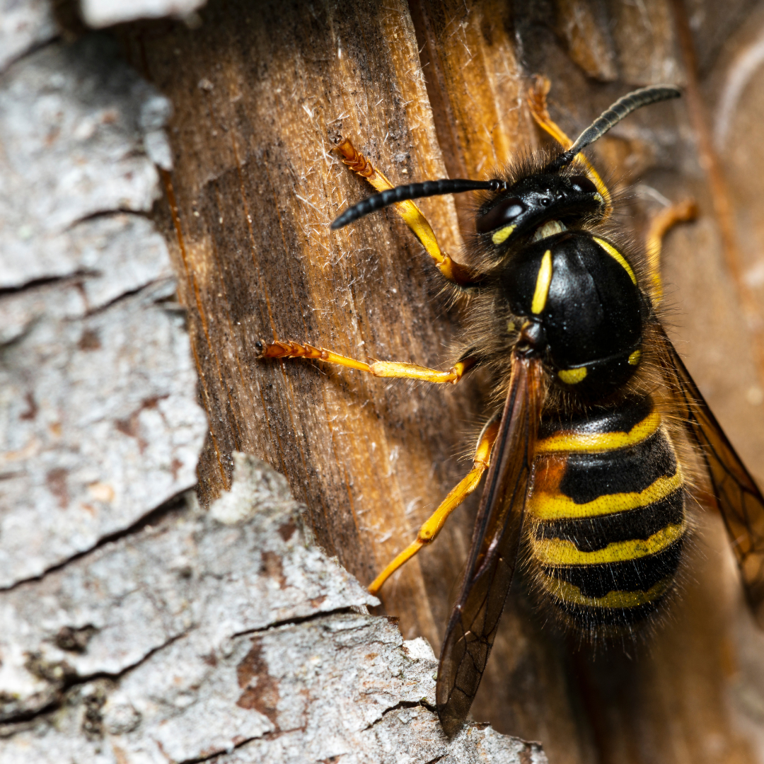 Design uden navn (34)