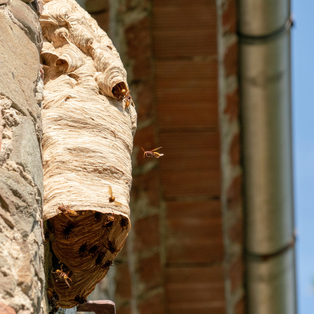 Design uden navn (40)